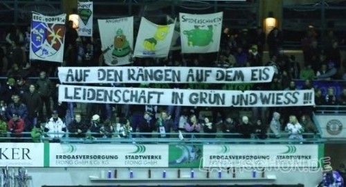 hornoxe.com_picdump125_16