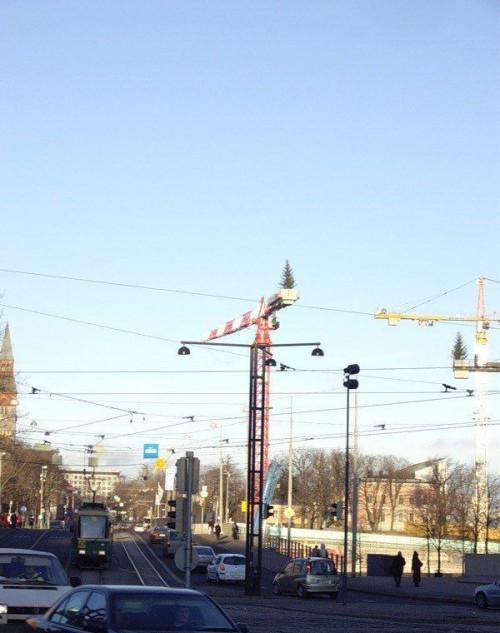 hornoxe.com_picdump125_38