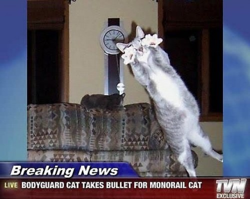 hornoxe.com_picdump125_49