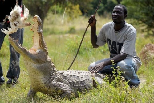 hornoxe.com_picdump125_52