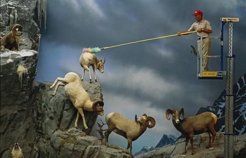 hornoxe.com_picdump125_69