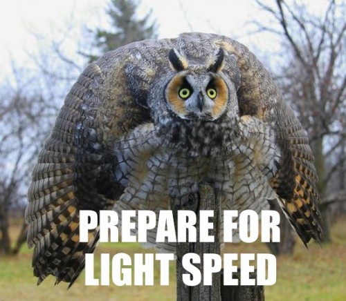 hornoxe.com_picdump125_82