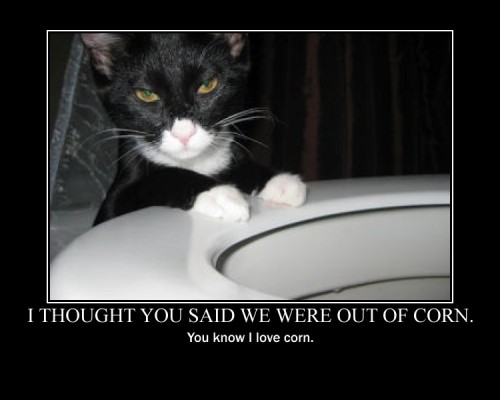 hornoxe.com_picdump126_04