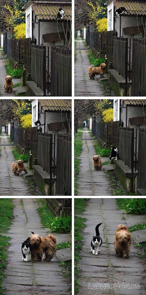 hornoxe.com_picdump126_10