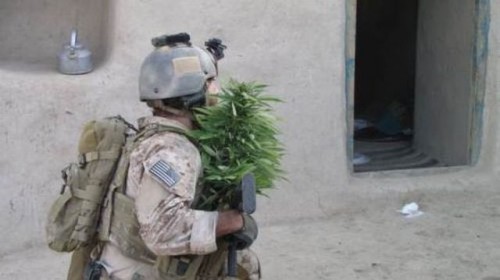 hornoxe.com_picdump126_44