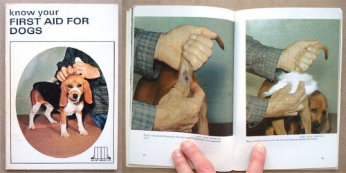 hornoxe.com_picdump126_77