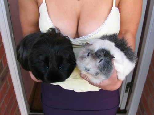 The Whores are Bored