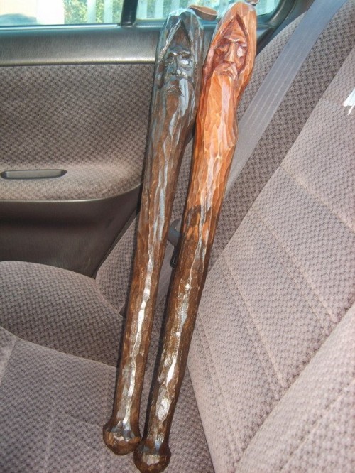 hornoxe.com_picdump127_09