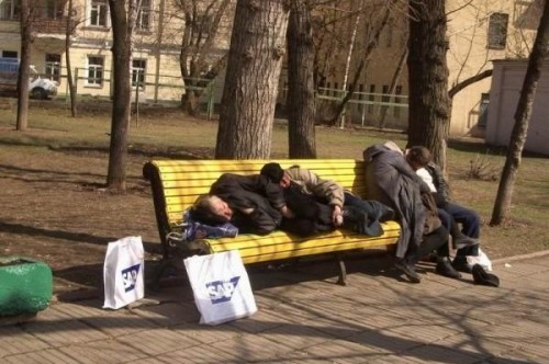 hornoxe.com_picdump127_26