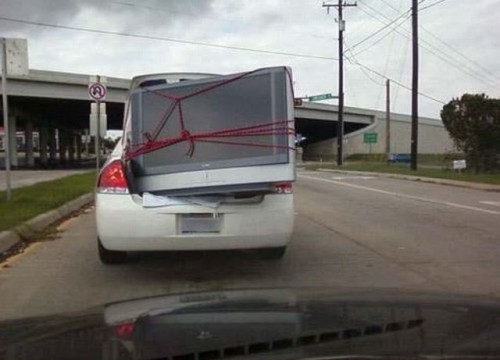 hornoxe.com_picdump127_44