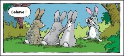 hornoxe.com_picdump127_51