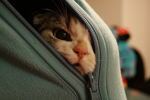 hornoxe.com_picdump128_008