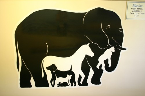 hornoxe.com_picdump128_060