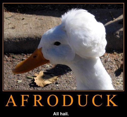 hornoxe.com_picdump128_076