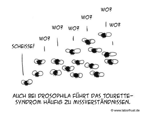 hornoxe.com_picdump128_101