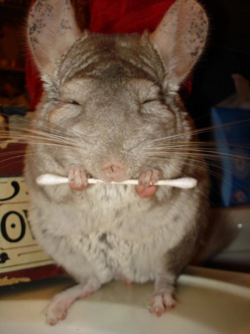 hornoxe.com_picdump128_132