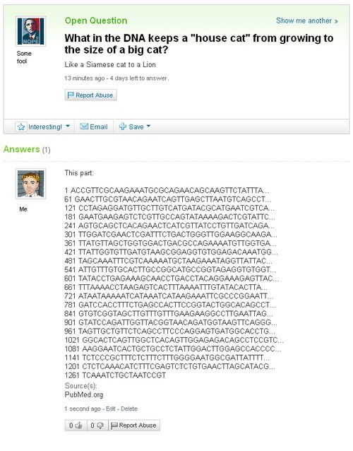 hornoxe.com_picdump129_011