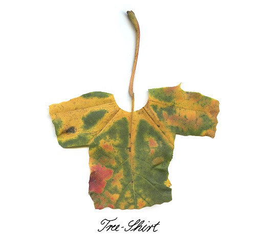 hornoxe.com_picdump129_031