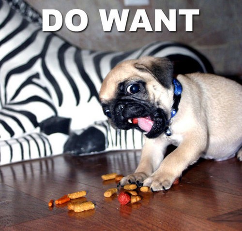 hornoxe.com_picdump129_088