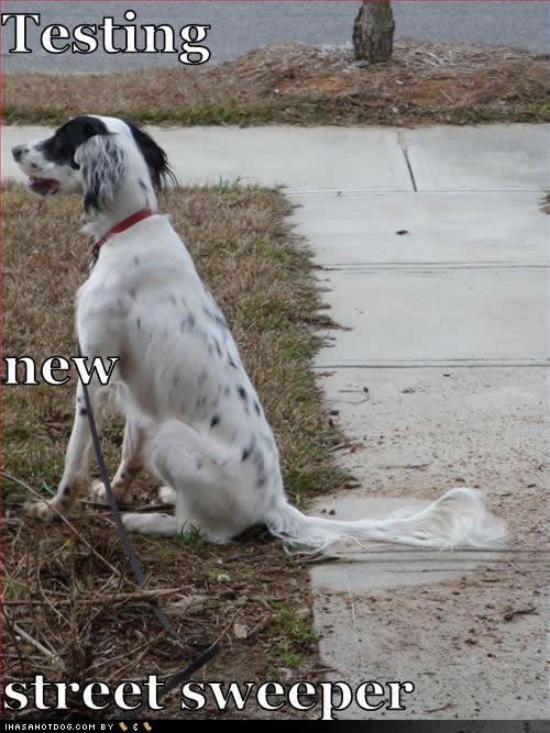 hornoxe.com_picdump129_126