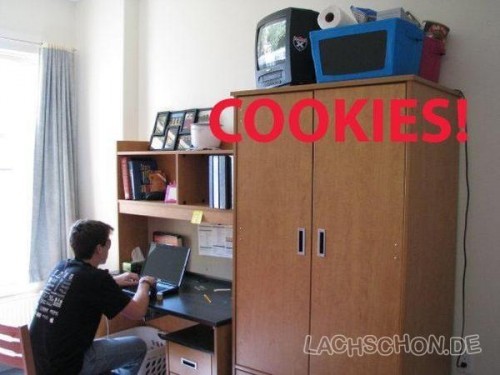 hornoxe.com_picdump129_169