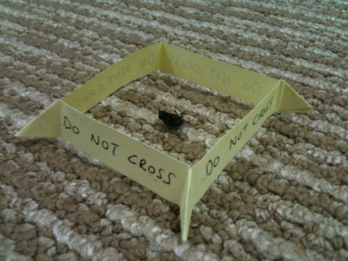 hornoxe.com_picdump130_013