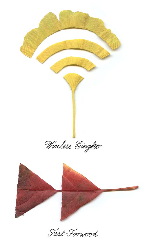 hornoxe.com_picdump130_025