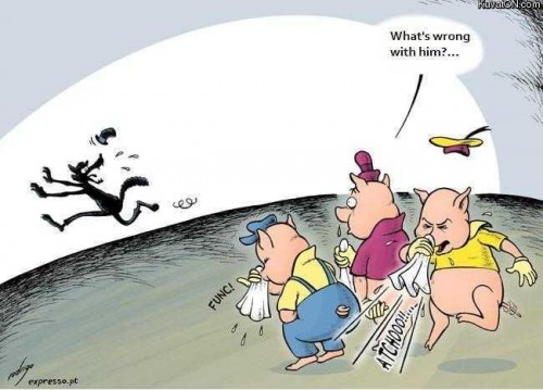 hornoxe.com_picdump130_038