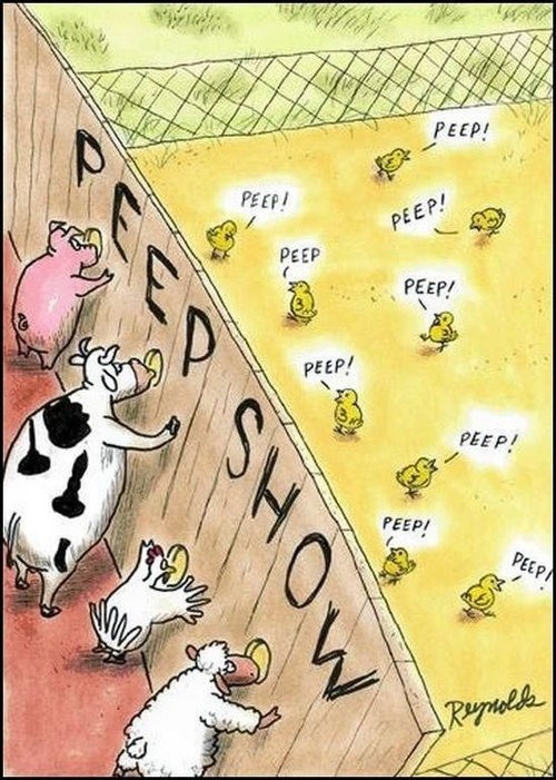 hornoxe.com_picdump130_052