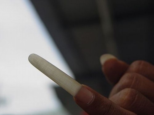 hornoxe.com_picdump130_088