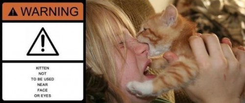 hornoxe.com_picdump130_094