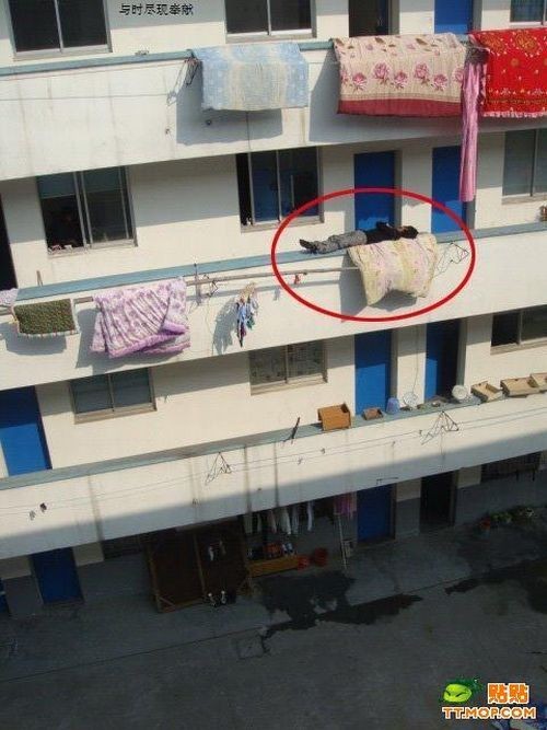 hornoxe.com_picdump131_002