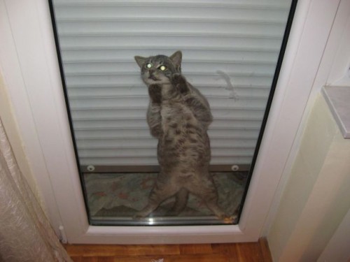 hornoxe.com_picdump131_056