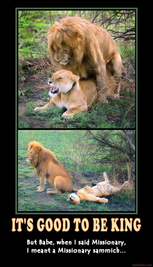 hornoxe.com_picdump132_046