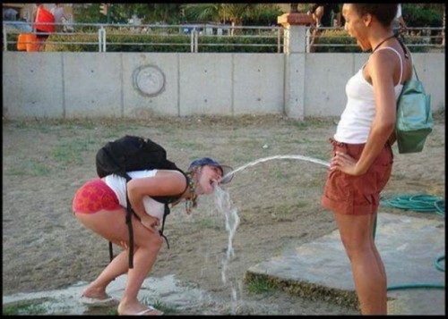 hornoxe.com_picdump132_048