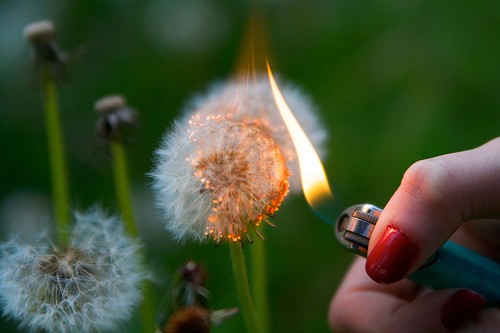 hornoxe.com_picdump132_059