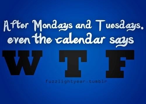 hornoxe.com_picdump132_087