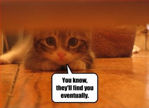 hornoxe.com_picdump132_138