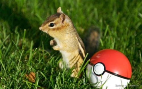 hornoxe.com_picdump133_28