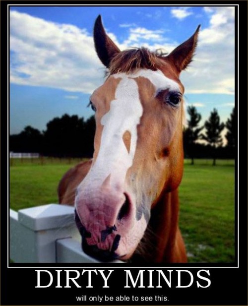 hornoxe.com_picdump133_87