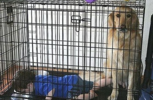 hornoxe.com_picdump134_23