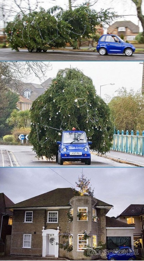 hornoxe.com_picdump134_40