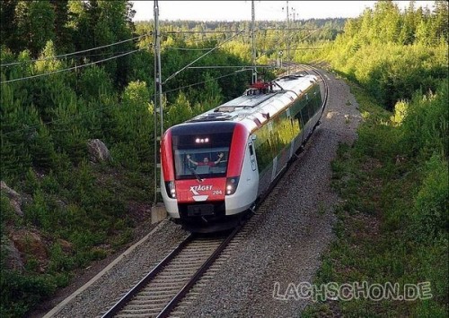 hornoxe.com_picdump134_42