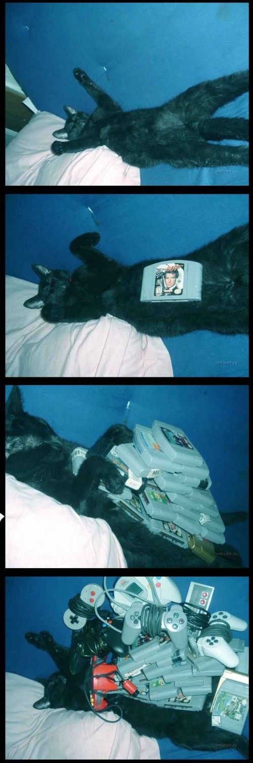 hornoxe.com_picdump134_62