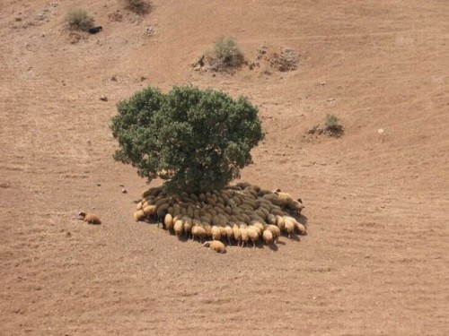 hornoxe.com_picdump135_43