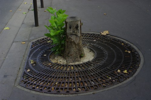 hornoxe.com_picdump135_50