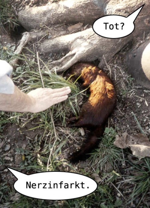 hornoxe.com_picdump135_96