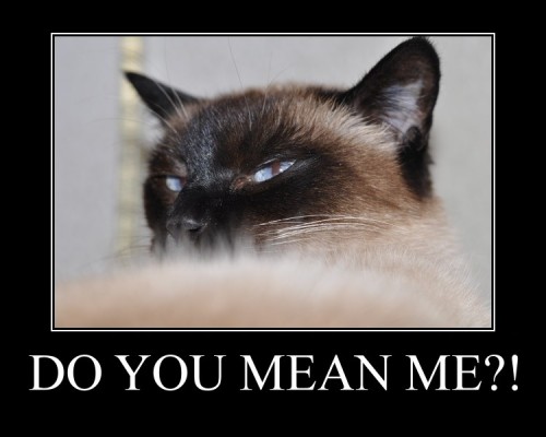 hornoxe.com_picdump137_029