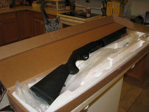 hornoxe.com_picdump137_083