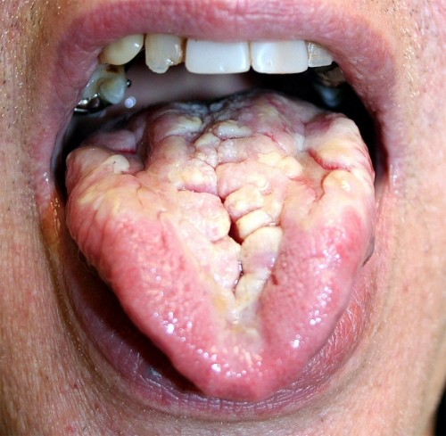 hornoxe.com_picdump137_109